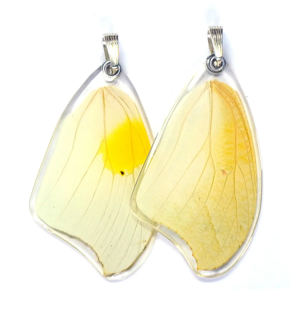 Butterfly Pendant Only, White Angled Sulphur, Top Wing