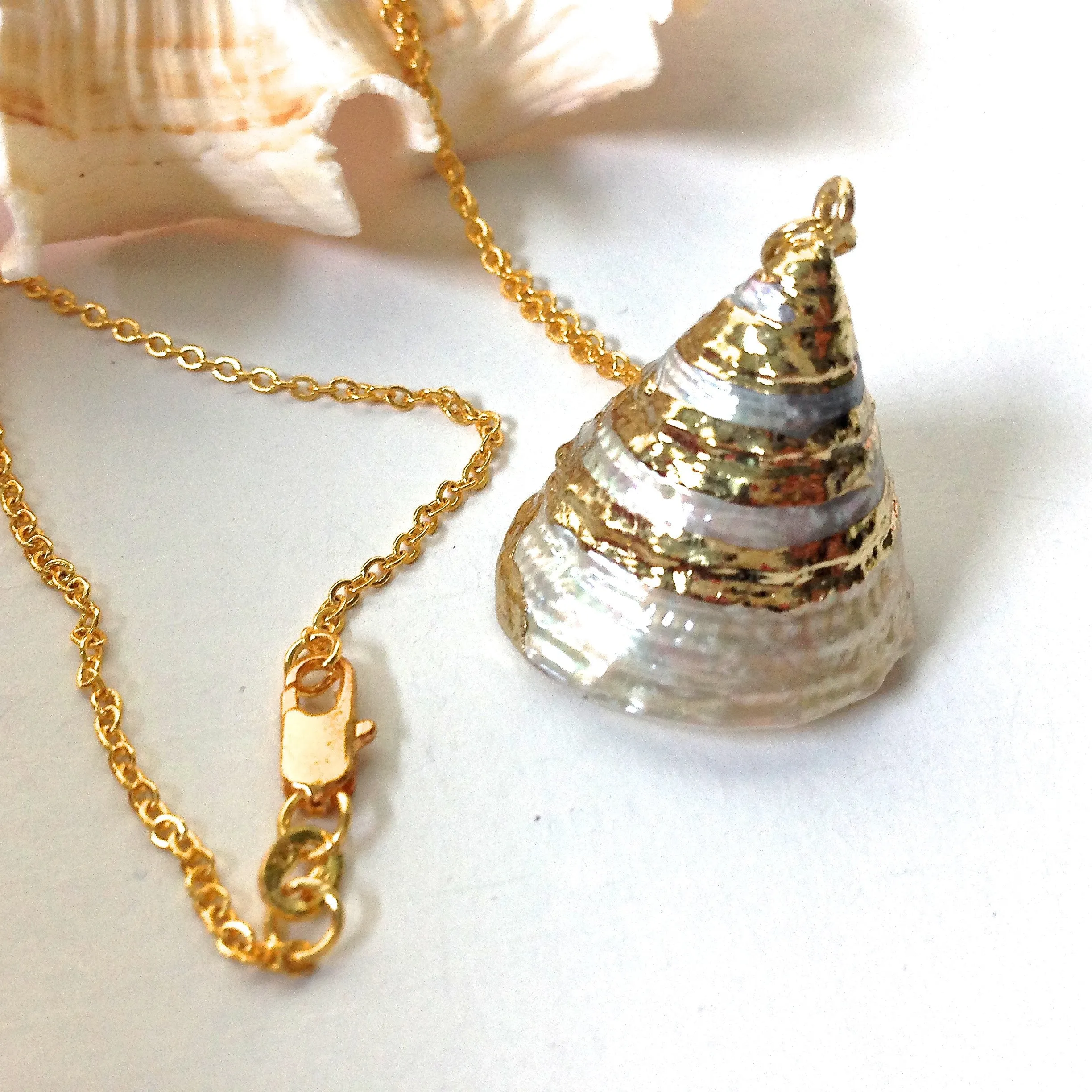 Troca Shell Necklaces